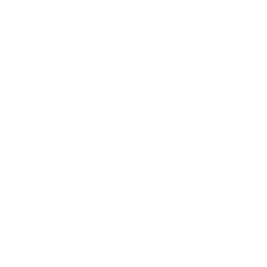 cctv icon